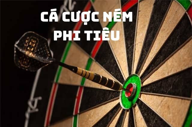 Hướng dẫn chi tiết cách chơi cá cược phi tiêu cơ bản nhất Hướng dẫn chi tiết cách chơi cá cược phi tiêu cơ bản nhất
