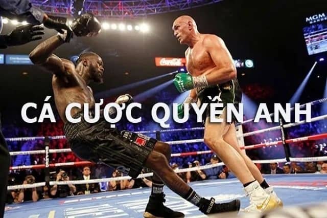 Quyền Anh đấu trường 1-1 giữa hai võ sĩ chuyên nghiệp Quyền Anh đấu trường 1-1 giữa hai võ sĩ chuyên nghiệp