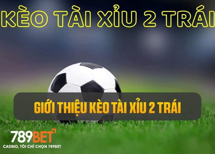 Giới thiệu kèo tài xỉu 2 trái Giới thiệu kèo tài xỉu 2 trái