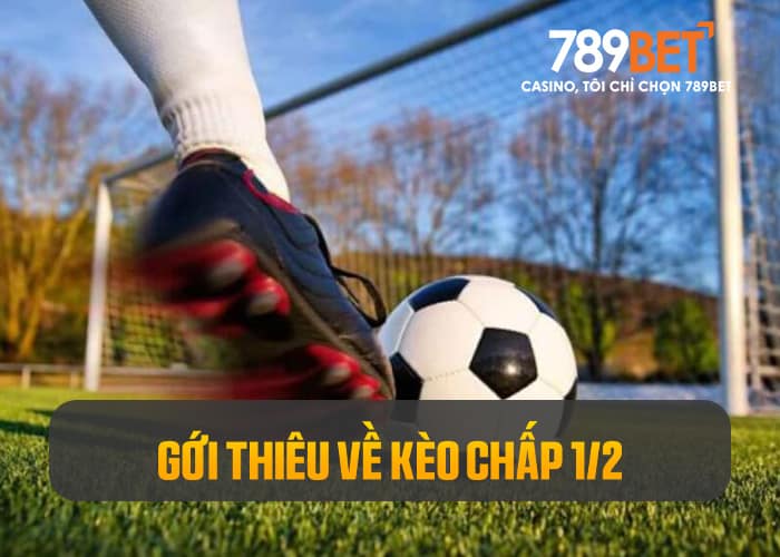 Gới thiệu kèo chấp 1/2 là gì Gới thiệu kèo chấp 1/2 là gì