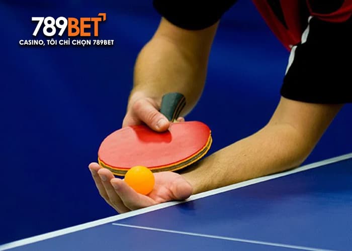 Tham khảo các kinh nghiệm chơi cá cược bóng bàn hay Tham khảo các kinh nghiệm chơi cá cược bóng bàn hay