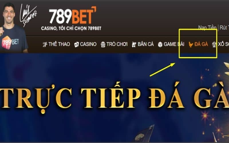 Truy cập vào 789BET và chọn danh mục đá gà Truy cập vào 789BET và chọn danh mục đá gà